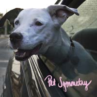 Pet Symmetry — Pets Hounds